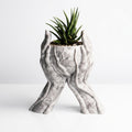 Embrace Sculptural Planter with succulent - main product image