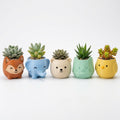 Tiny Pals Succulent Planter Set on windowsill - main product image