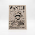 Monkey D Luffy & Roronoa Zoro Wanted Poster | One Piece Bounty 3D Wall Art